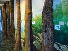 04 瑞穗生態教育館樹皮展示教育 