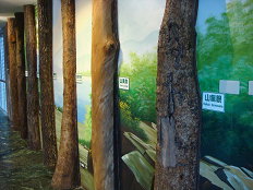 04 瑞穗生態教育館樹皮展示教育 