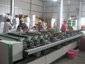 圖1 外銷鳳梨機械化分級包裝作業