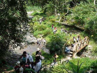永安社區玉龍泉步道整修完成後，方便行走，進而活化步道的旅遊人數