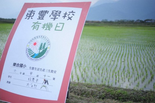 05 東豐學校有機日 