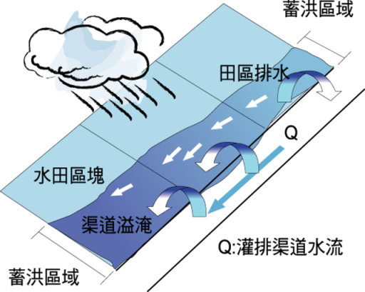 圖 1 水田調洪蓄水示意圖 