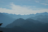 塔山上看阿里山雲瀑（翁儷芯攝）