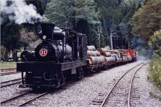 森林鐵路依偎在阿里山區已近一百個年頭，從載運木材到遊客，看盡林業的風華歲月。 