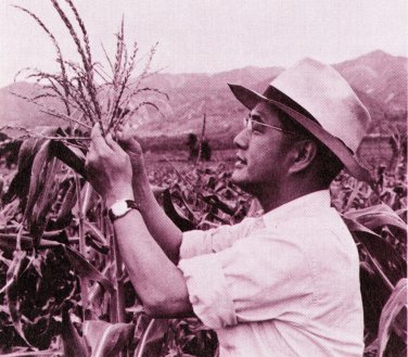 花卉電腦拍賣鐘（翻拍自農復會 30 年紀實） 