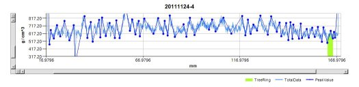 蓮霧果樹（No.4）的木材樹輪密度圖譜（上圖，實線為重建的密度圖譜）及樹芯掃描試片（下圖）