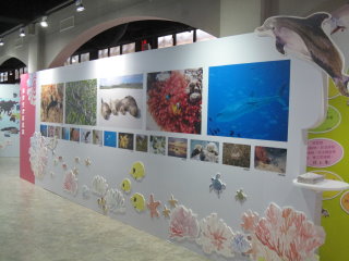 2012 年國際生物多樣性日以海洋與海岸保育為努力標的 
