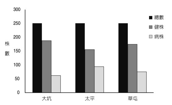 中部地區3個麻竹筍產區罹染竹嵌紋病株數