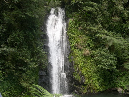 02 新寮瀑布步道（林務局提供） 