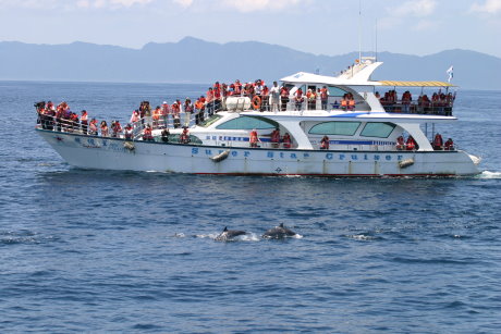 02 娛樂漁業賞鯨活動 