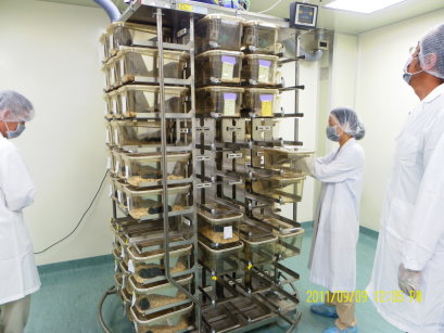 圖1 辦理外部查核情形-查核動物房舍及實驗動物飼養管理情形