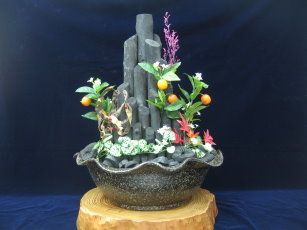 炭桔盆景具有 室內美化、空氣淨化與濕度調節之效果 