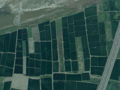 圖 3 稻作及其他非稻作坵塊 