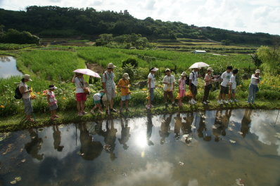 都市民眾體驗共榮社區生態環境，紛紛讚嘆：「這是一個美麗的農村！」 