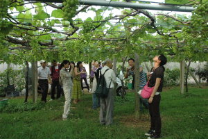 在果園、公共活動空間 … 等 找出在地最美和最醜之處都是本次活動的重要課程 