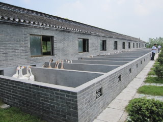 中國大陸國家水禽活體基因庫（江蘇）