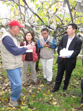 農糧署及臺中區農業改良場人員向陸方專家說明梨供果園栽培管理及病蟲害防治情形 