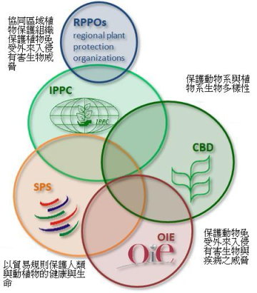 圖 2 相關國際組織防杜外來入侵種任務關係圖（資料來源： http://www.standardsfacility.org ） 