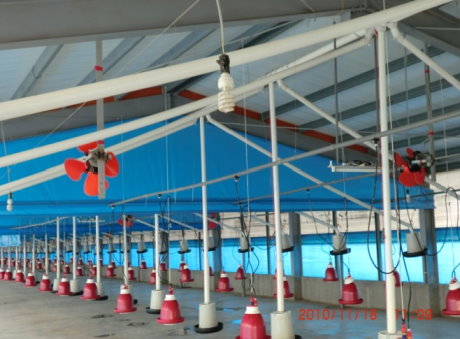 新式密閉負壓環控雞舍內部設備 