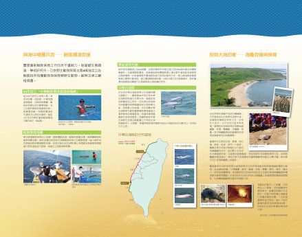 2012 世界海洋日特展－鯨豚及海龜保育看板內容 