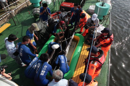 與海巡軍艦合作野放鯨豚 