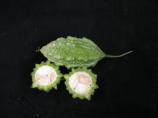 花蓮 5 號果實橫切面（左）與縱切面（右）外觀 