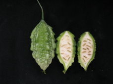 花蓮 5 號果實橫切面（左）與縱切面（右）外觀 