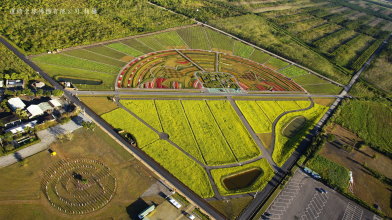 花海空拍圖，巨幅阿美族樁米圖像十分壯觀 （花蓮林區管理處提供） 
