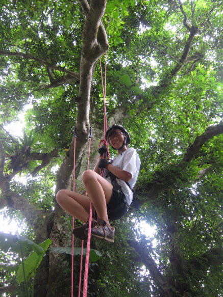 學員成功的完成攀樹挑戰活動,以獨特的攀樹方式來親近「樹朋友」,不同高度觀察樹冠層生態(劉奕良攝) 學員成功的完成攀樹挑戰活動,以獨特的攀樹方式來親近「樹朋友」,不同高度觀察樹冠層生態(劉奕良攝)