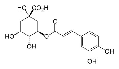 A Chlorogenic acid 綠櫞酸
