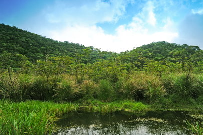 南澳闊葉樹林自然保留區中的神秘湖一景(林務局提供) 南澳闊葉樹林自然保留區中的神秘湖一景(林務局提供)