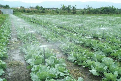 推廣旱作（蔬菜）灌溉噴灌系統，提高水使用效率，節約灌溉用水量