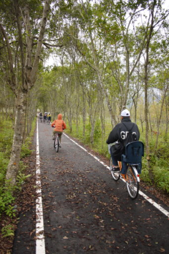 花蓮大農大富平地森林園區 