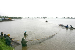 圖 1 農漁綜合養殖 圖 1 農漁綜合養殖