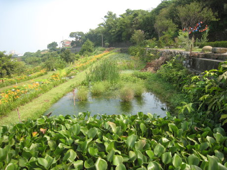 為防治 農村家庭污水，社區推廣設置 簡易污水淨化池 