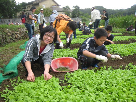 環境教育活動 阿公的菜園： 藉由實地操作有機無毒生產，引導民眾力行友善消費及環境保護之重要性 