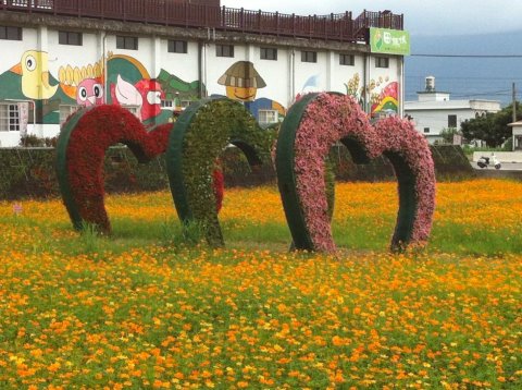 關山夏日花海 關山夏日花海