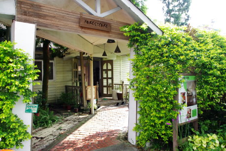 森心日春的老房子傳來一陣陣濃醇的咖啡香（林務局提供） 