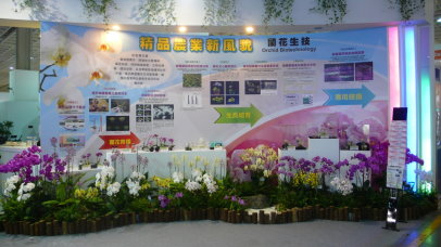 蘭花生技區成果展示，針對蘭花產業發展需求，開發新技術，成功串連蘭花生技產業鏈 