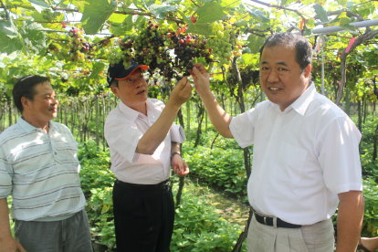 鵬群頂酒莊主人譚先生（左 1 ）介紹園區內栽植葡萄的品種 