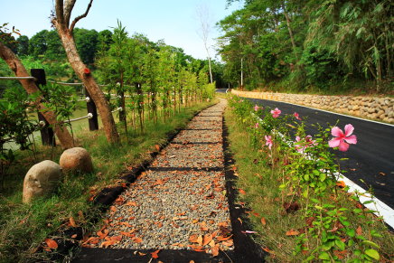 改造後－大荒埔生態小徑觀察烏龜好所在 