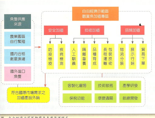 附圖 自由經濟示範區 觀賞魚產業 營運模式 