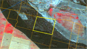 圖 2 濁水溪西瓜田區衛星影像災害前、後紋理變遷示意圖 