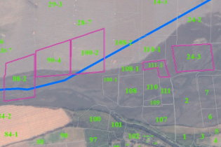 圖 4 左為災害前：種植區域（白色紋理）；右為災害後：申請救助地號（紫色區域） 