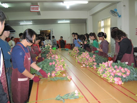 圖 3 嘉義縣新港鄉農會洋桔梗共同集貨包裝場 