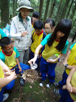 透過枯枝落葉截流雨水的實驗,瞭解森林對涵養水源的重要性 透過枯枝落葉截流雨水的實驗,瞭解森林對涵養水源的重要性