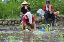 參加農場見習，實際體驗下田耕作的樂趣