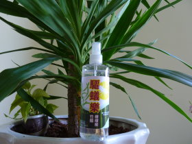 驅蟻樂（左）和竹炭／竹醋液複方生物製劑（右）