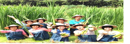 埔里鎮桃米社區，在返鄉日本料理師傅「小田田」（第 2 排右 1 ）的帶領下，在地居民與我們一起拔茭白筍，現拔現吃的口感特別脆甜，令人懷念無比 