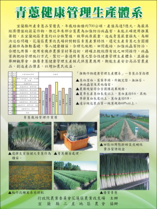 制定青蔥健康管理生產體系與田間管理標準作業流程，強化青蔥規格化、標準化生產管理（三星地區農會 提供）